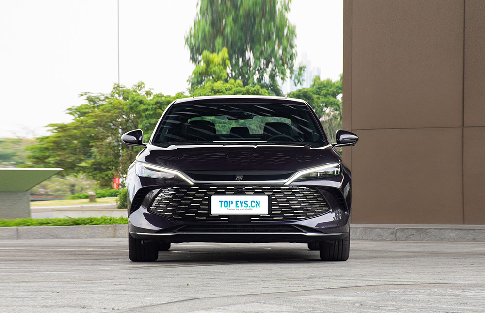 BYD King side profile