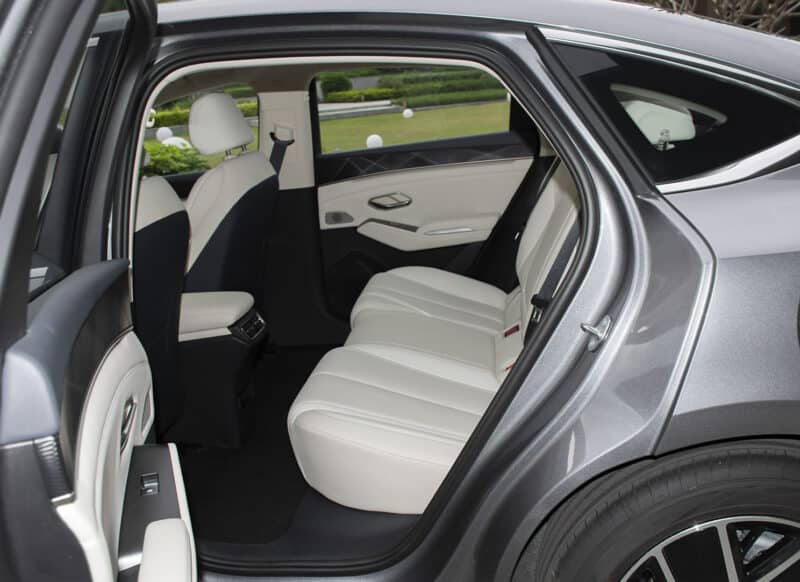 BYD King center console and gear lever