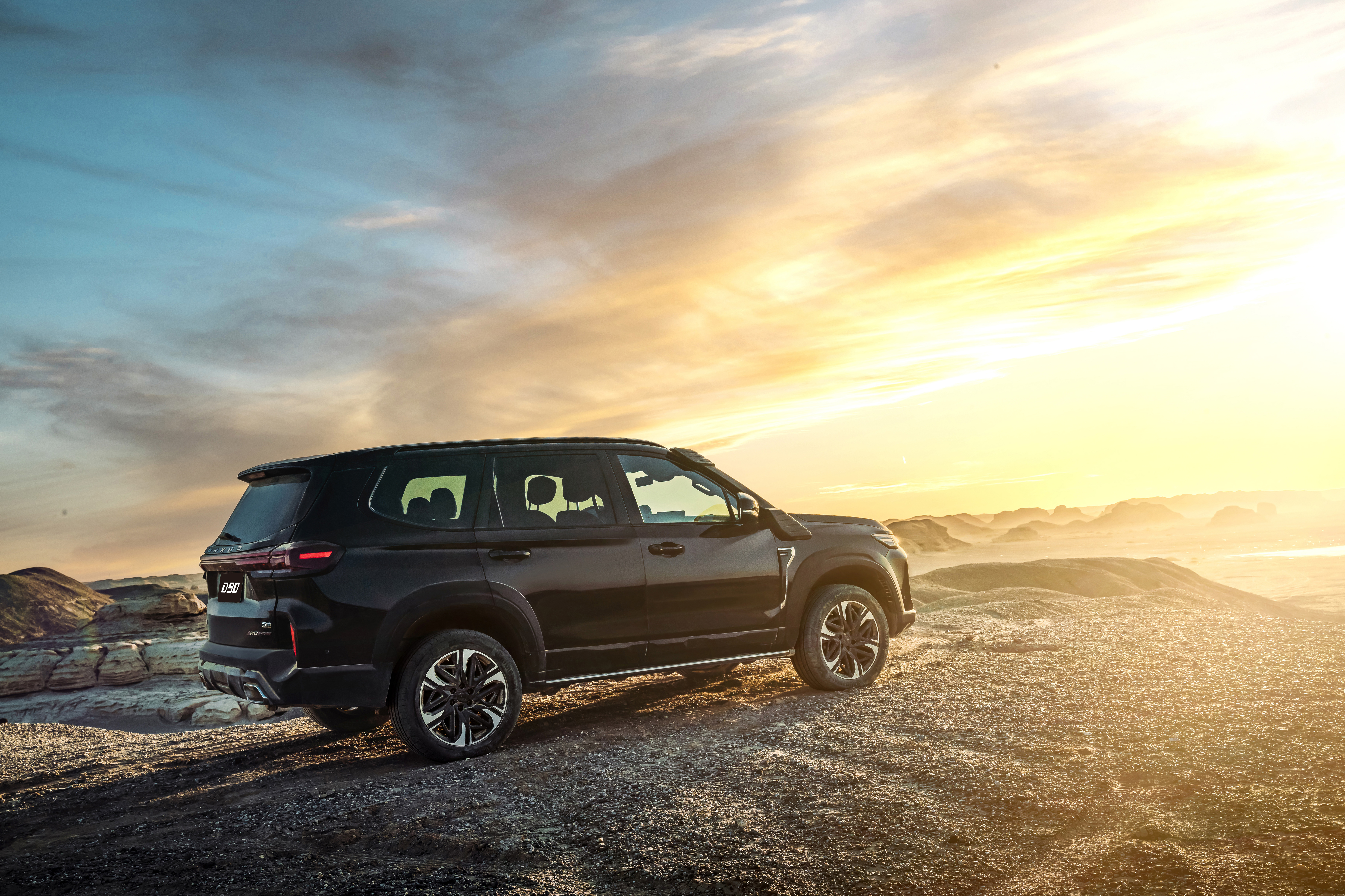 D90 rear three-quarter sunset