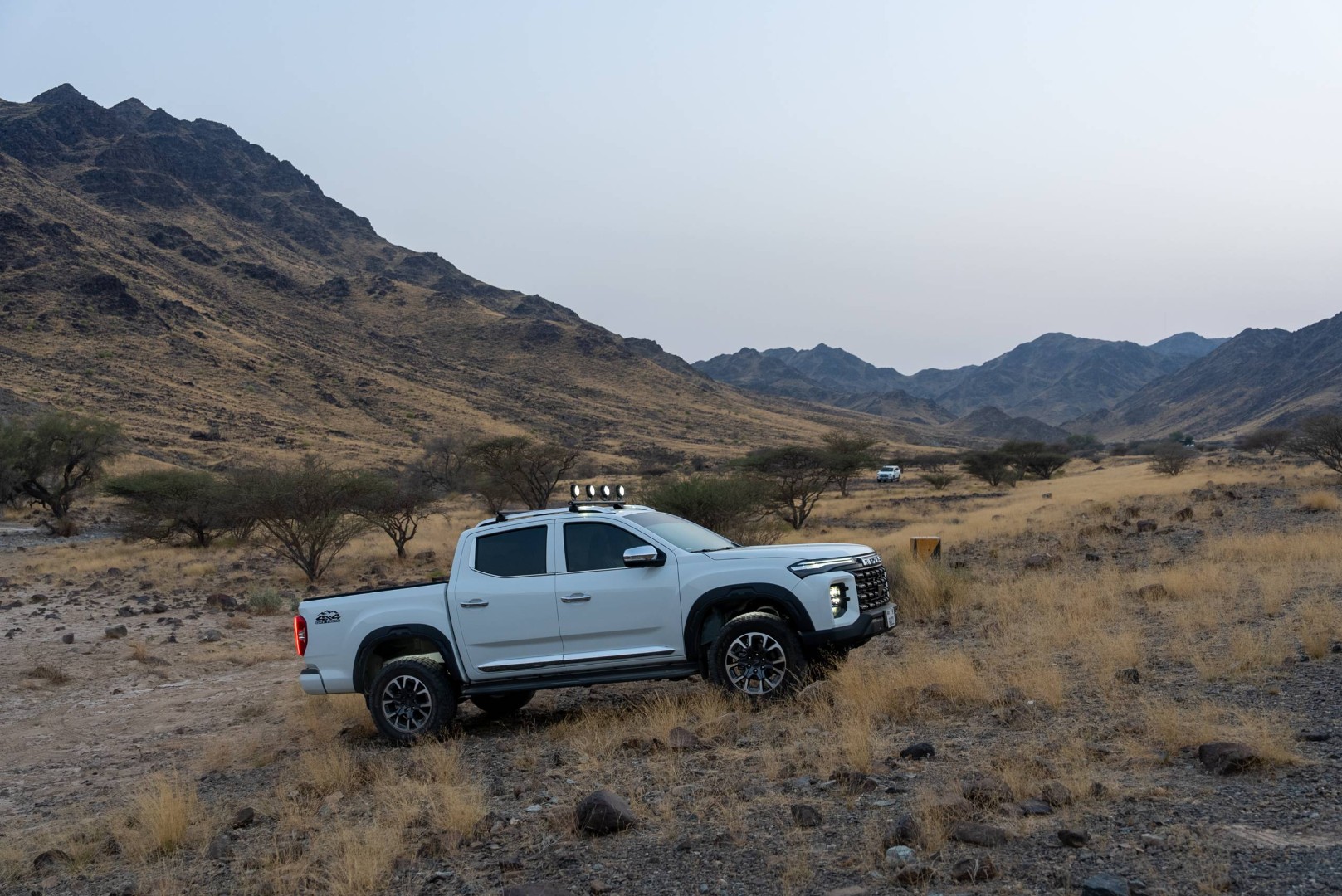 T90 side profile mountains